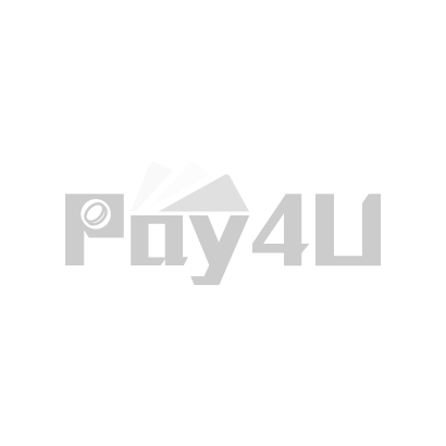 pay4u.png